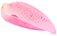 Petal 1