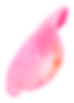 Petal 1