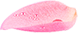 Petal 1