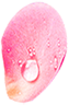 Petal 1