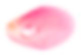 Petal 1