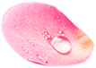 Petal 1