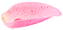 Petal 1
