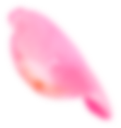 Petal 1