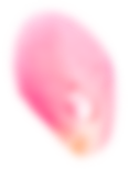 Petal 1